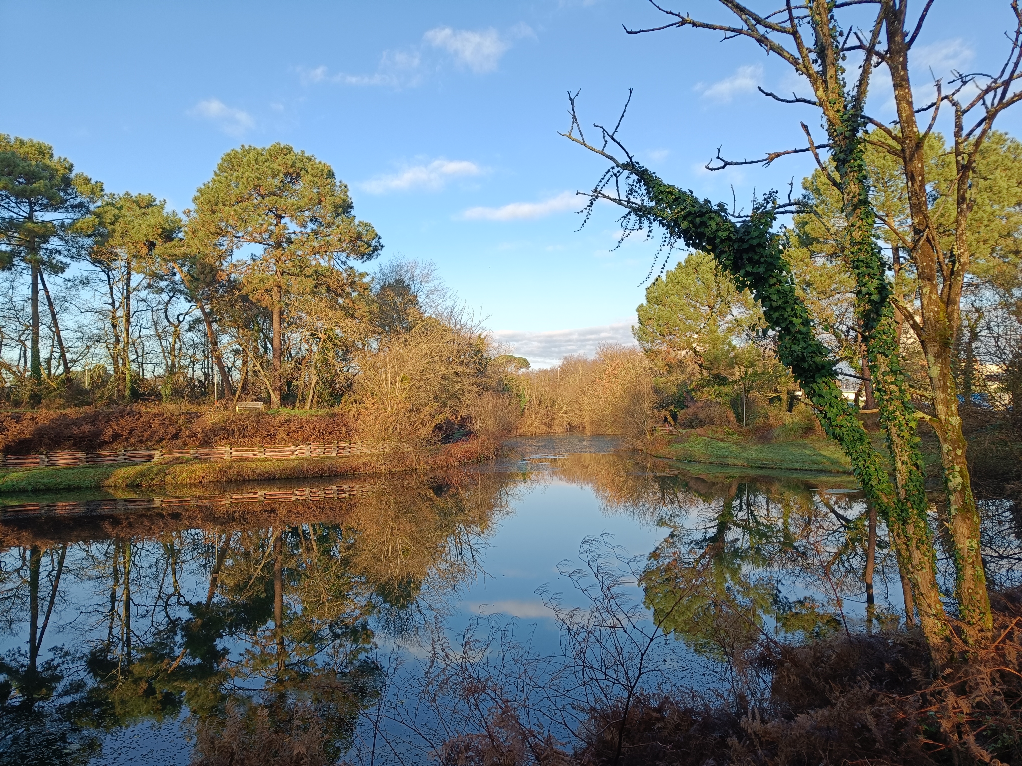 Photo n° 1 de l'avis de sylvain.o fait le 10/09/2018 à 12:58