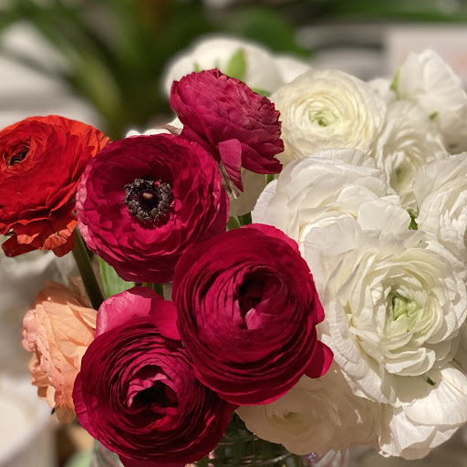 Florist «Florist Of Covington», reviews and photos, 2640 N Hwy 190, Covington, LA 70433, USA