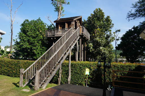 Vertical garden Phuket