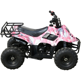 ATV Dealer «WOR Powersports», reviews and photos, 33150 Gratiot Ave, Charter Twp of Clinton, MI 48035, USA