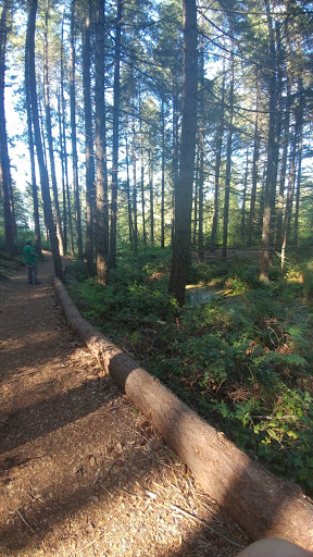 Golf Club «Fircrest Golf Club», reviews and photos, 1500 Regents Blvd, Fircrest, WA 98466, USA