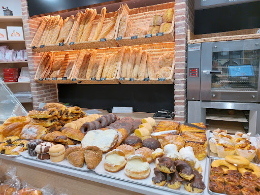 OPELA koop en Markina-Xemein, Bizkaia