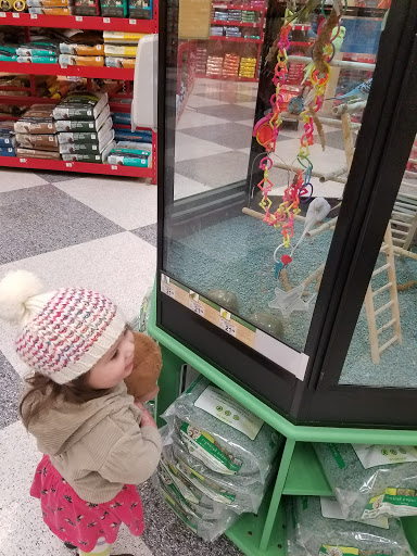 Pet Supply Store «Petco Animal Supplies», reviews and photos, 4209 Wheaton Way, Bremerton, WA 98310, USA