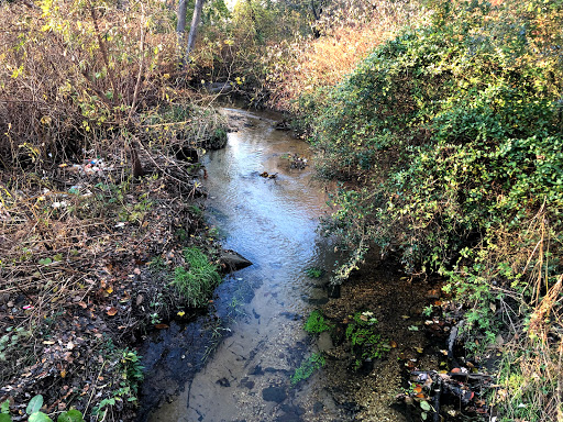 Nature Preserve «Brookside Preserve», reviews and photos, N Brookside Ave, Roosevelt, NY 11575, USA