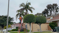 Josgreen Landscaping, Lawn service & Gardening service. - Photo 4 - Car repair in Long Beach, CA, Long Beach