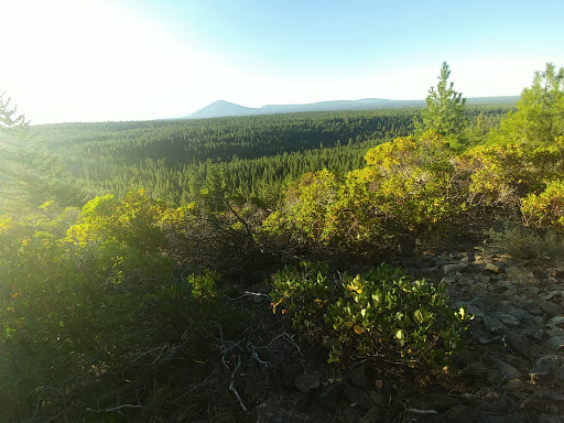 Grocery Store «Grocery Outlet Bargain Market», reviews and photos, 1815 W Ida St, Stayton, OR 97383, USA