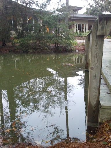 Golf Club «Sea Pines Country Club - Golf Club», reviews and photos, 30 Governors Rd, Hilton Head Island, SC 29928, USA