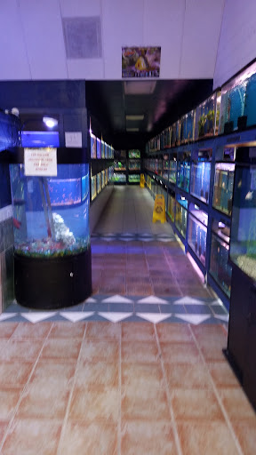 Pet Store «Aqua Workz Aquarium», reviews and photos, 8125 Belvedere Ave, Sacramento, CA 95826, USA