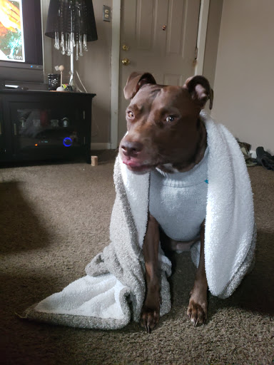 Pet Store «Feed-Rite Pet Supply», reviews and photos, 2979 Fort St, Lincoln Park, MI 48146, USA