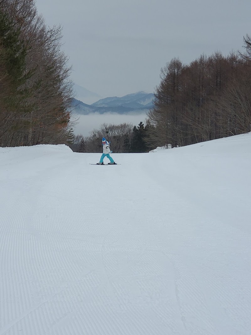 スキー 場 天気 だ いくら 会津高原だいくらスキー場の天気＆積雪情報