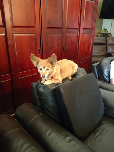 Cigar Shop «Falto Cigar Club», reviews and photos, 78370 CA-111 #145, La Quinta, CA 92253, USA