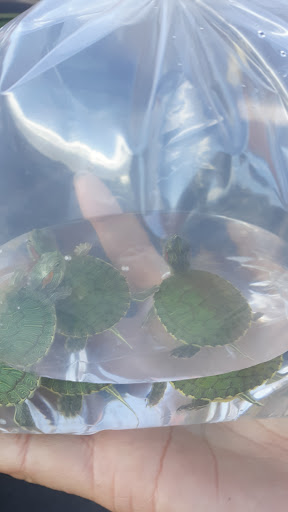 Pet Store «Pet Source 1901», reviews and photos, 1901 W 8th St B, Los Angeles, CA 90057, USA