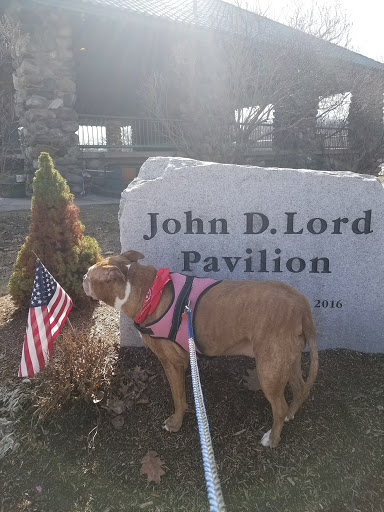 Park «Shedd Park», reviews and photos, 453 Rogers St, Lowell, MA 01852, USA