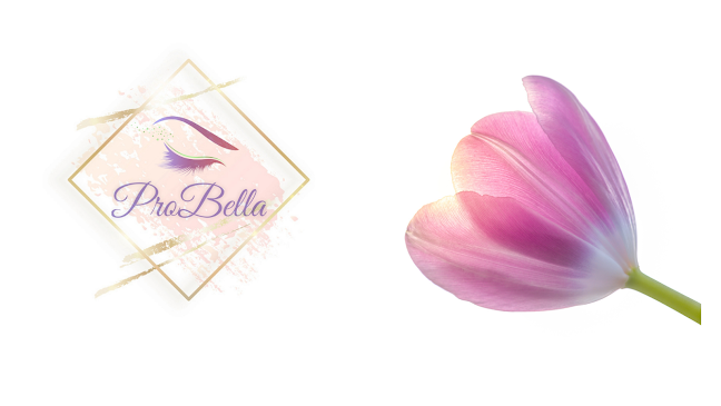 ProBella - szemöldök stylist, soft powder és szálas szemöldök tetoválás, henna szemöldök festés - Szépségszalon