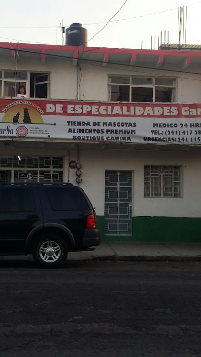 Hospital Veterinario de Especialidades GarSa Apizaco
