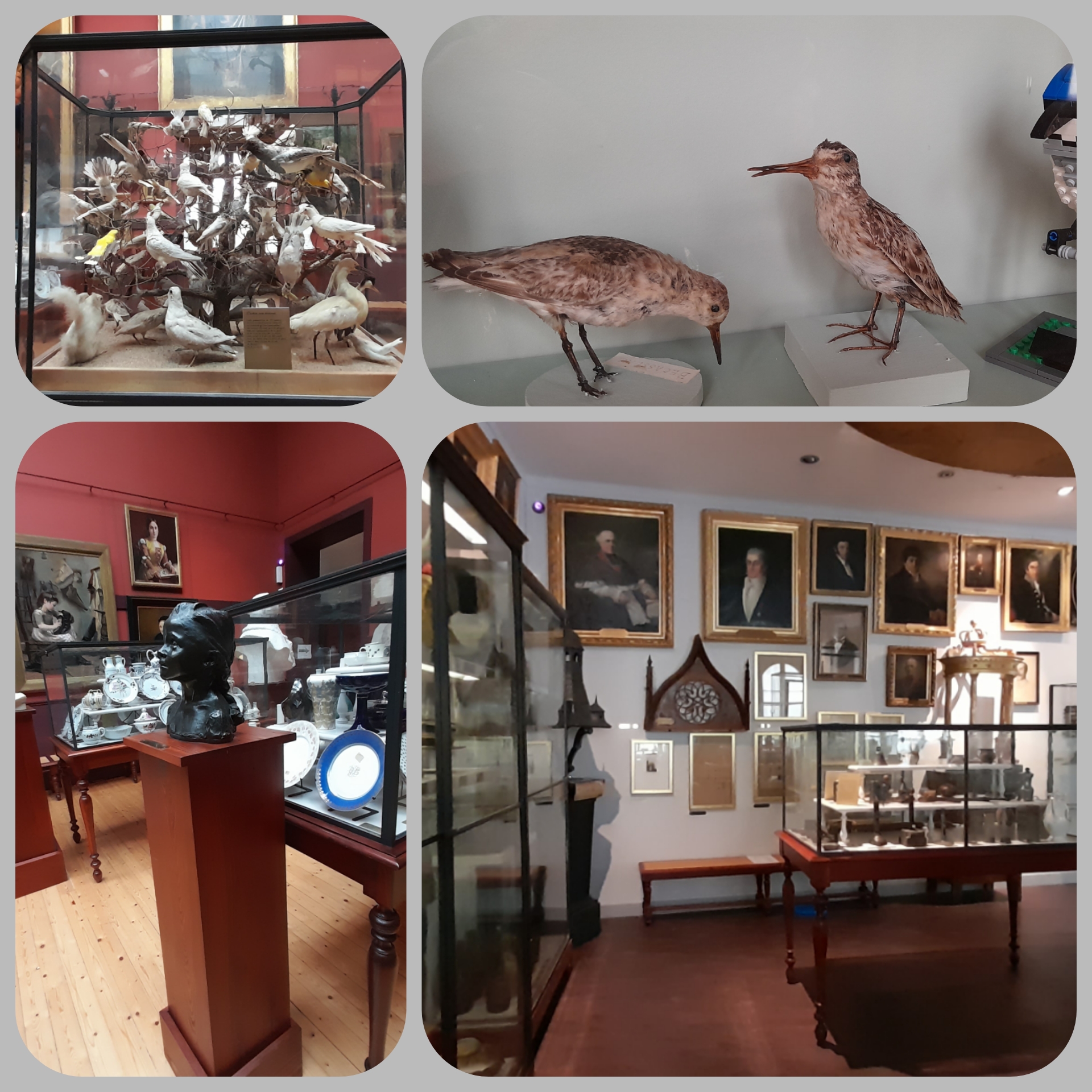 Photo n° 2 de l'avis de Françoise.u fait le 08/07/2021 à 18:34