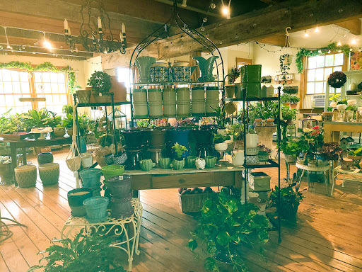 Echobrook Nursery