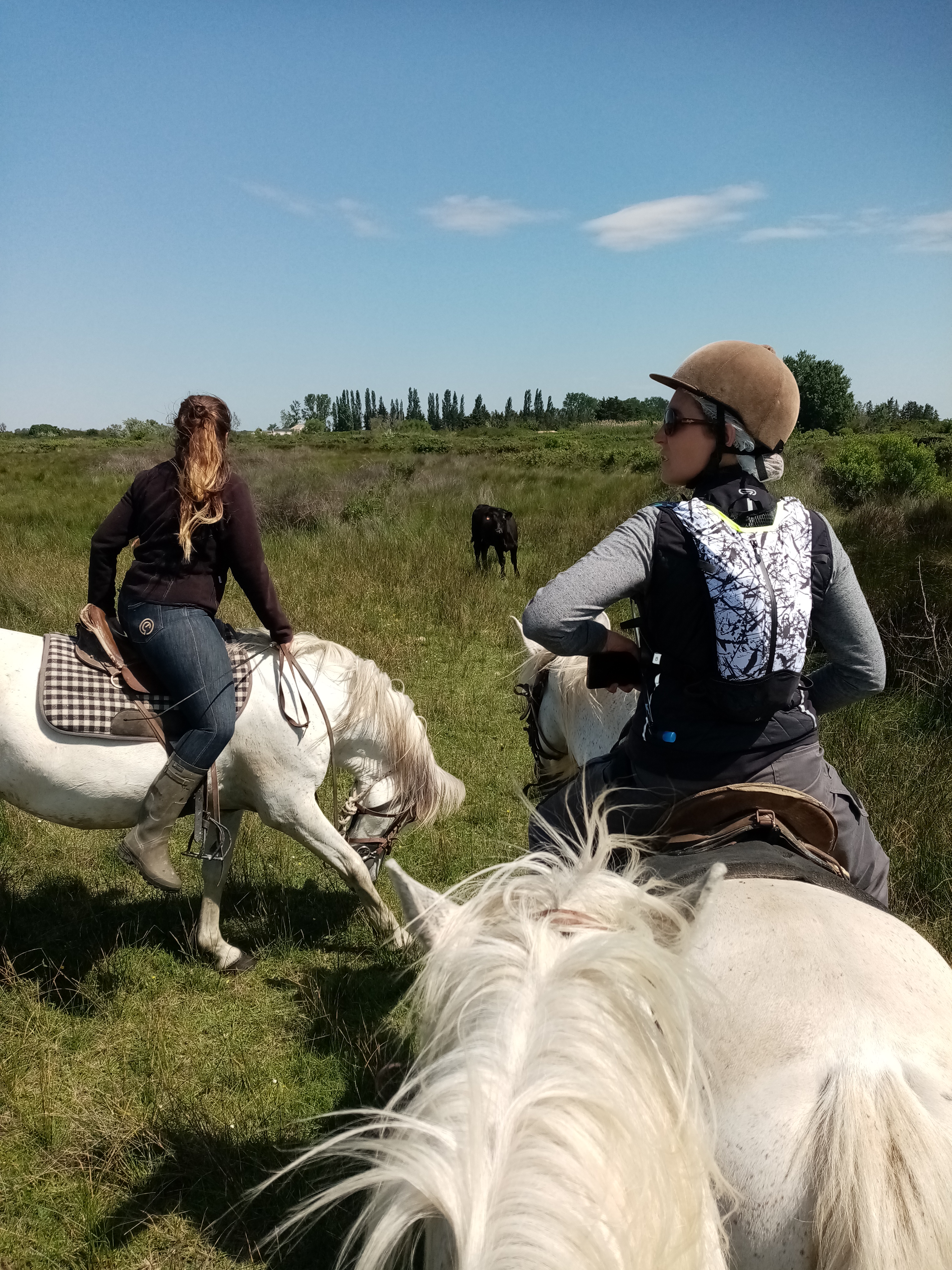 Photo n° 1 de l'avis de jean-victor.i fait le 17/05/2020 à 15:59