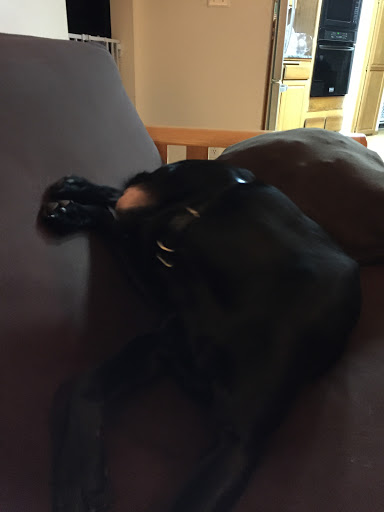 Auto Repair Shop «Simmons Automotive», reviews and photos, 5601 S Proctor St, Tacoma, WA 98409, USA