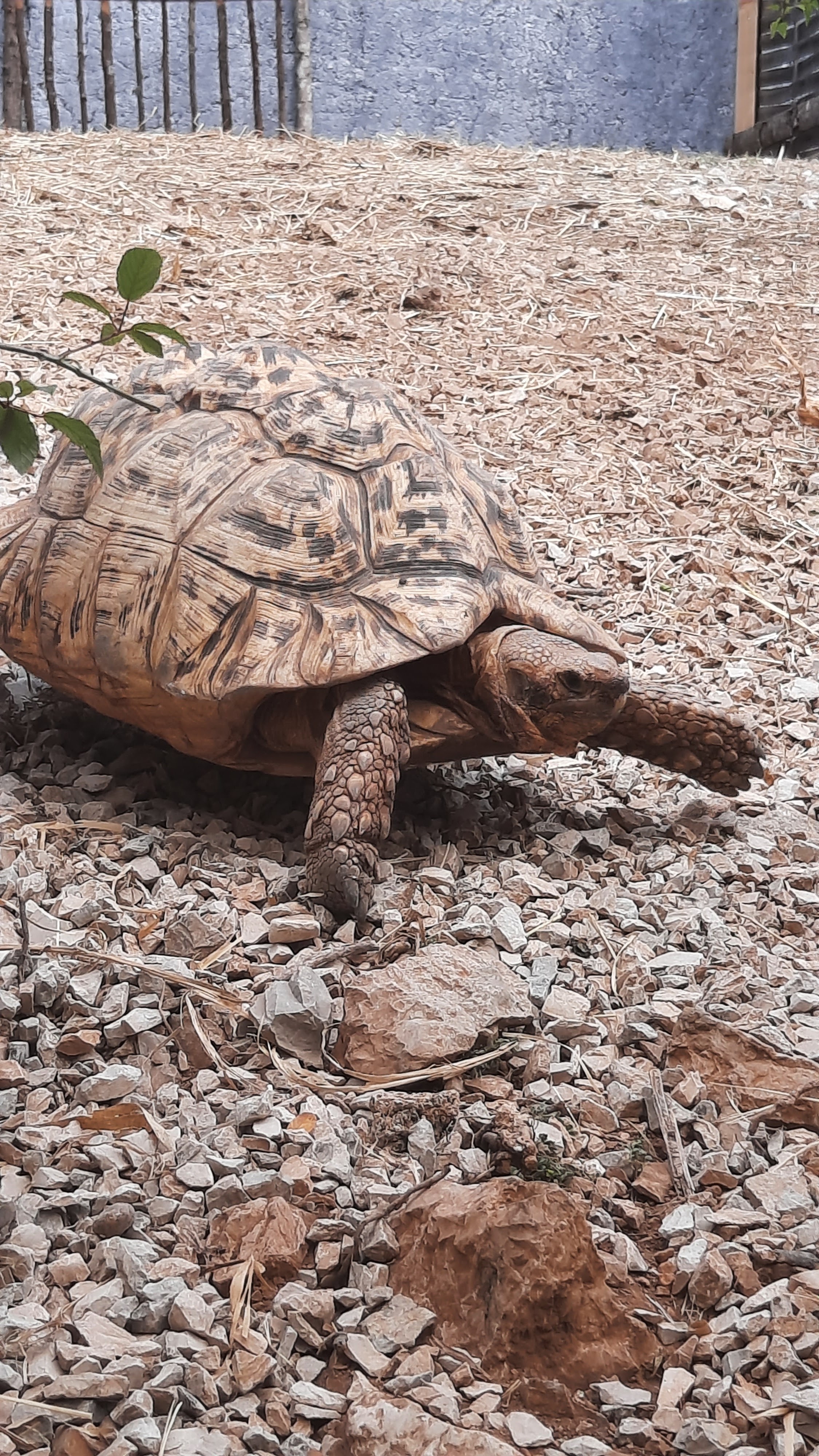 Photo n° 2 de l'avis de Pauline.l fait le 04/08/2023 à 10:04