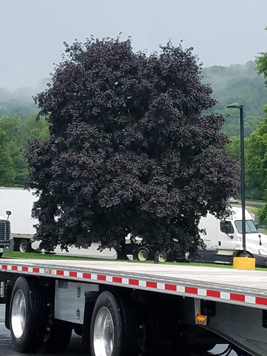 Convenience Store «Pilot Travel Center», reviews and photos, 979 NJ-173, Bloomsbury, NJ 08804, USA