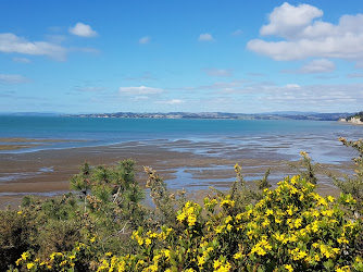 Clovelly Road Walkway