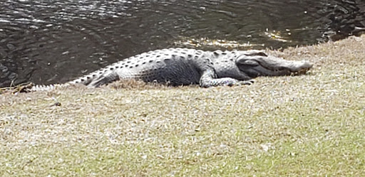 Golf Course «Witch Golf Links», reviews and photos, 1900 SC-544, Conway, SC 29526, USA
