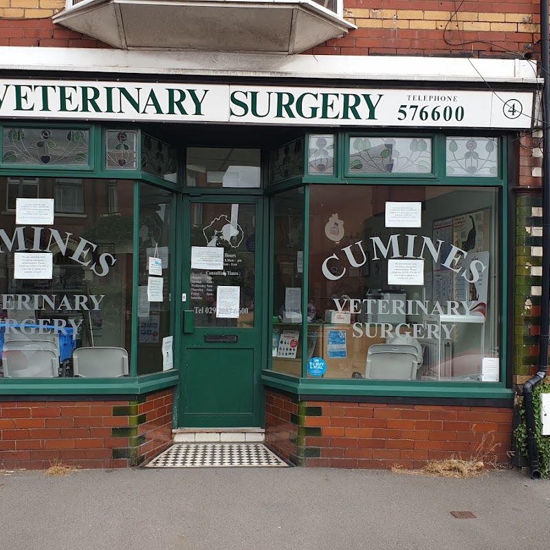 Medivet Llandaff North