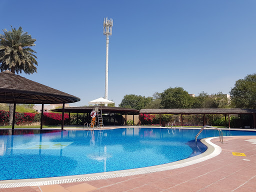 Jebel Ali Gardens Swimming Pool 3