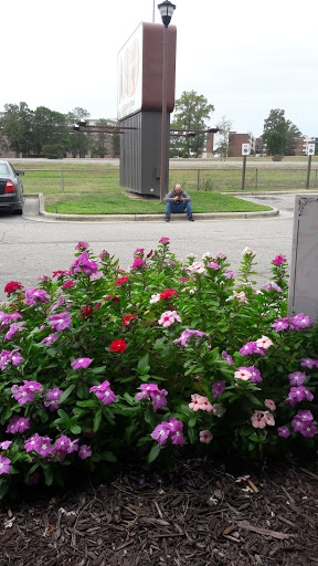 American Restaurant «Cracker Barrel Old Country Store», reviews and photos, 238 Enterprise Dr, Rocky Mount, NC 27804, USA