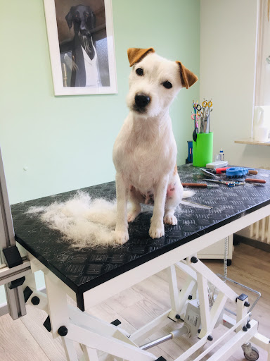 Hereinspaziert Katzen- und Hundesalon - Carmen Schütte unter Eisingen, 