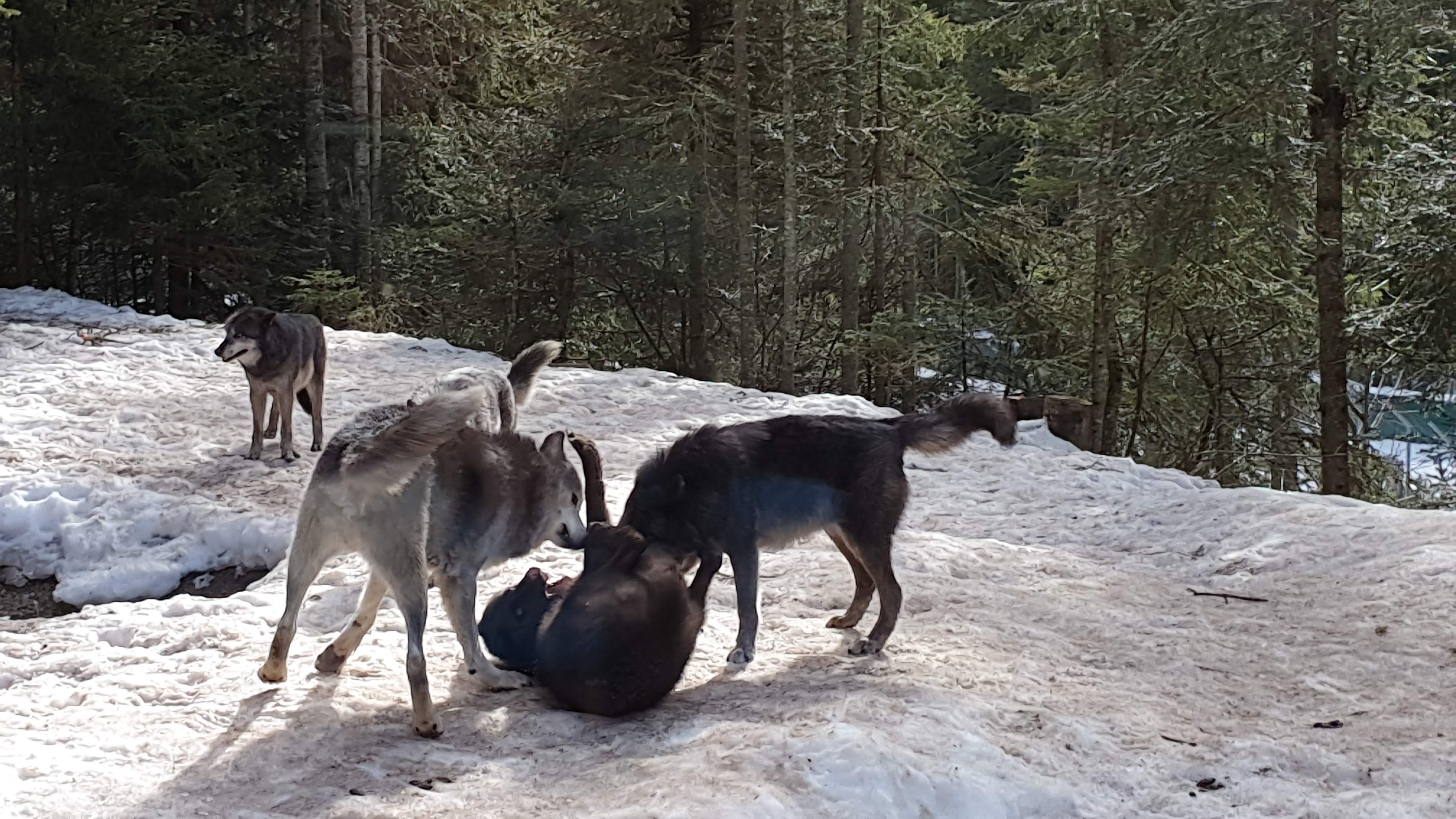 Photo n° 4 de l'avis de Chris.. fait le 11/03/2019 à 16:05