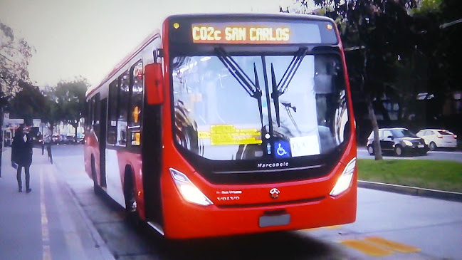 Red Bus Urbano