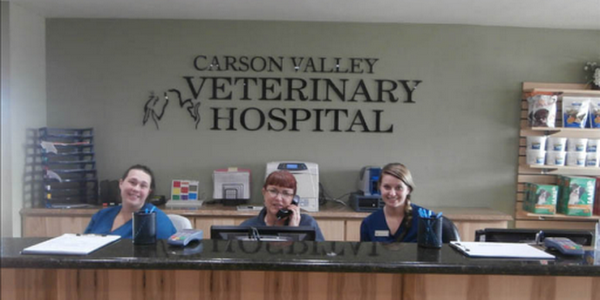 Carson Valley Veterinary Hospital