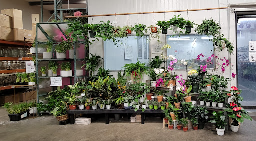 Florist «Sequoia Floral International», reviews and photos, 3245 Santa Rosa Ave, Santa Rosa, CA 95407, USA