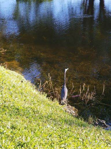 Heritage Museum «Plantation Historical Museum», reviews and photos, 511 N Fig Tree Ln, Plantation, FL 33317, USA