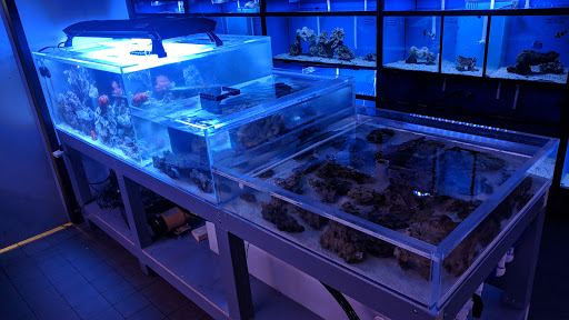 Pet Supply Store «House of Pets Inc», reviews and photos, 29500 Ford Rd, Garden City, MI 48135, USA