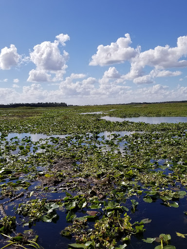 Golf Club «Oaks National Golf Club», reviews and photos, 1500 The Oaks Blvd, Kissimmee, FL 34746, USA