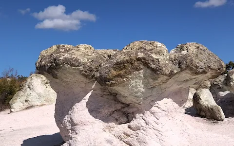 Mushroom Rocks image