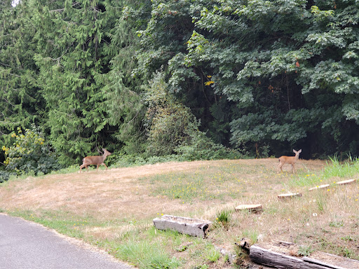 Golf Course «Kayak Point Golf Course», reviews and photos, 15711 Marine Drive NE, Stanwood, WA 98292, USA