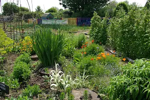 Windmill Community Gardens Margate image