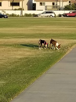 Coronado Cays Park - photo 51