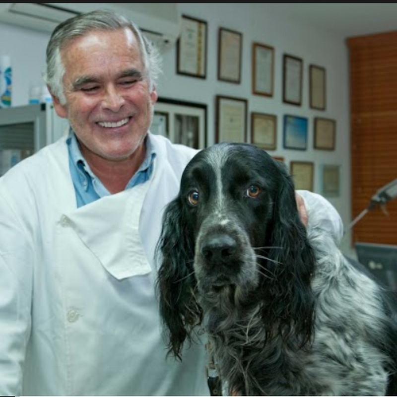 Clínica Veterinária Dr. João Azevedo Mendes. Veterinary Clinic - Dr. João Azevedo Mendes