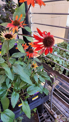 Hardware Store «Newberg Hardware», reviews and photos, 2100 Portland Rd, Newberg, OR 97132, USA