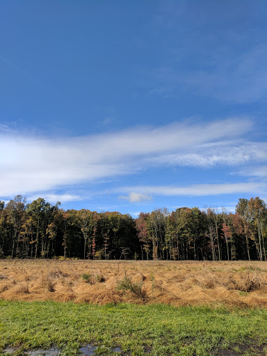 Park «Carsins Run Park», reviews and photos, 500 Carsins Run Rd, Aberdeen, MD 21001, USA