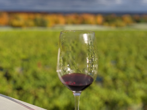 Winery «Brys Estate Vineyard», reviews and photos, 3309 Blue Water Rd, Traverse City, MI 49686, USA