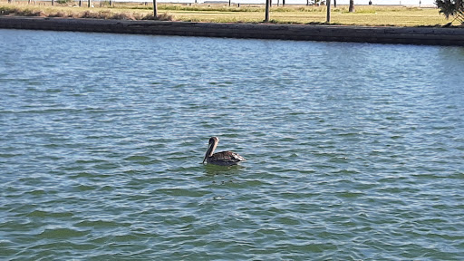 Gift Shop «Sea Shell Shoppe», reviews and photos, 120 N Austin St, Rockport, TX 78382, USA