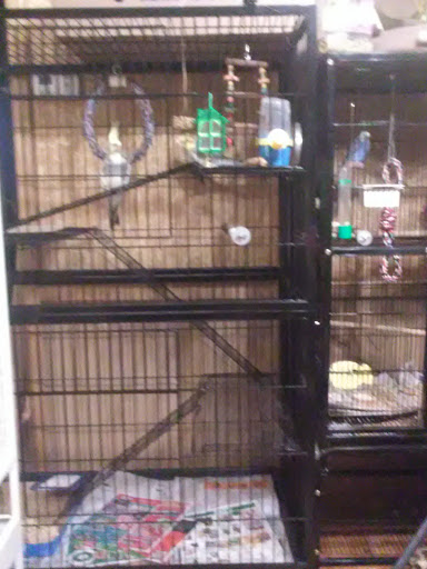 Pet Supply Store «Pet Supplies Plus», reviews and photos, 175 Memorial Ave, West Springfield, MA 01089, USA