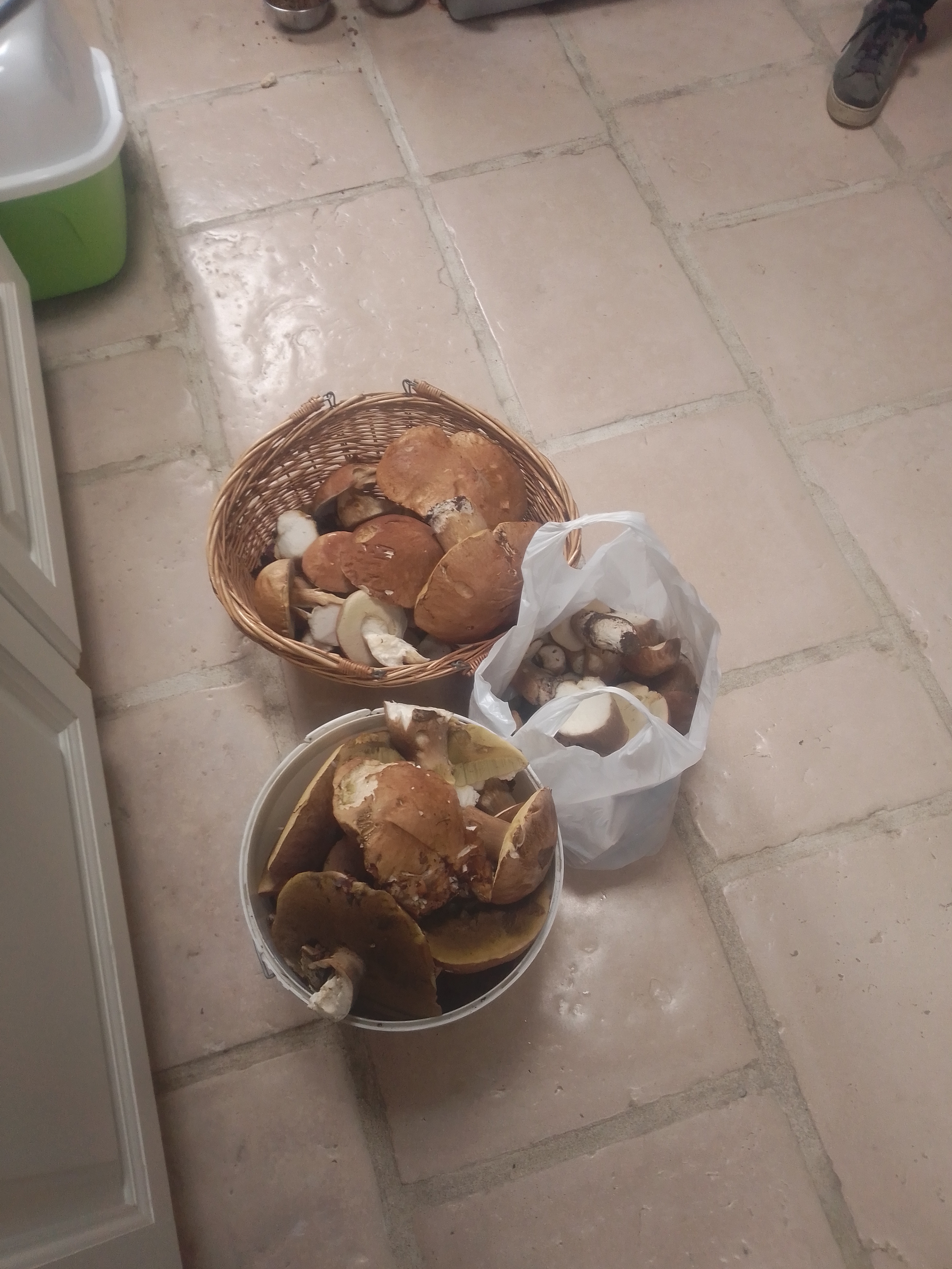 Photo n° 1 de l'avis de Karl.b fait le 20/10/2019 à 12:24