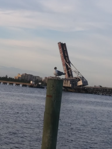 Water Park «Riverwalk Splash Park», reviews and photos, 452 3rd Ave W, Bradenton, FL 34205, USA